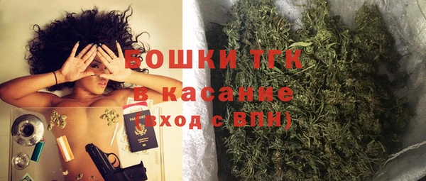 гидра Бронницы